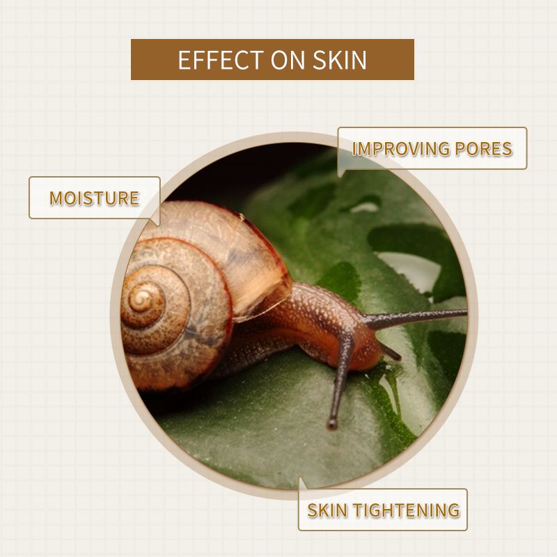 Snail Anti Aging&Healing Facial Mask By LIRAINHAN