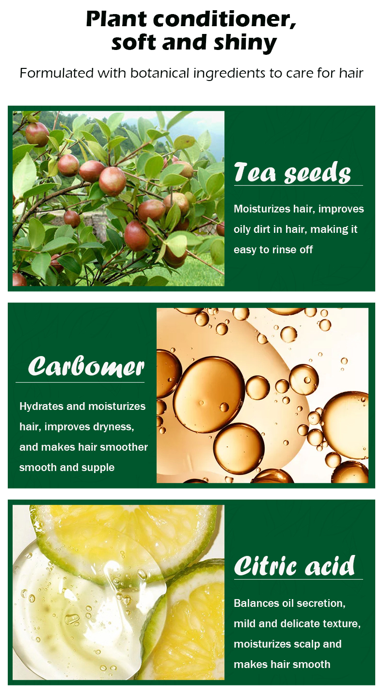 Tea seed oil shampoo (2)