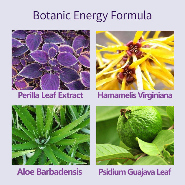 Hydrating Anti-Aging Soothing Perilla Leaf Toner By LIRAINHAN