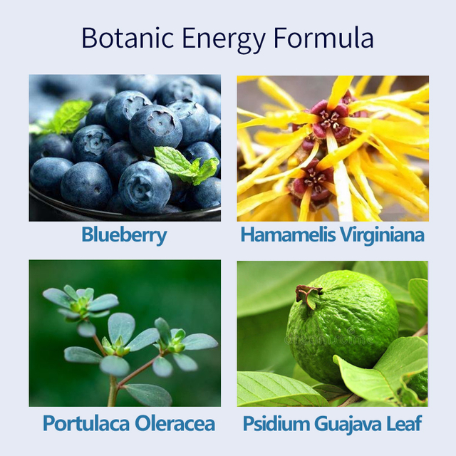 Comforting Toner With Blueberry Fruit Juice By LIRAINHAN